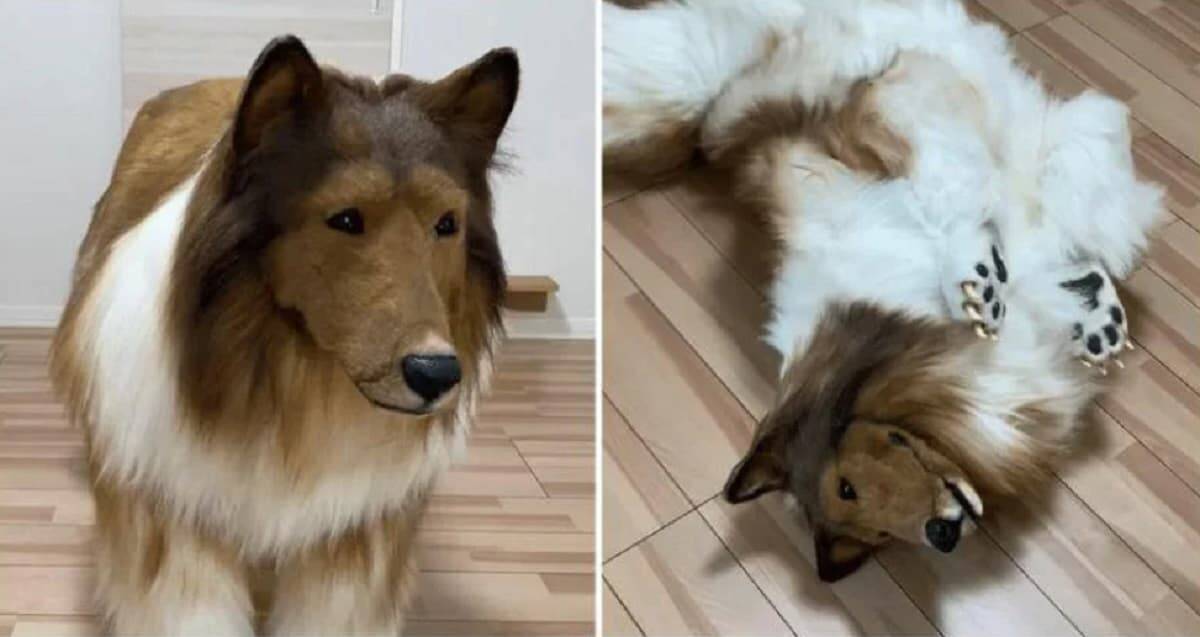 En japansk man betalade R$ 75.000 för att få en realistisk hunddräkt. Bilder: Återgivning/ Youtube