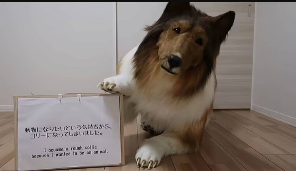 Um homem japonês pagou R$ 75 mil para ter uma fantasia realista de cachorro. Fotos: Reprodução/ Youtube