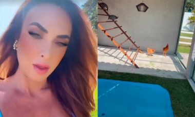 Nicole Bahls constrói galinheiro luxuoso com piscina