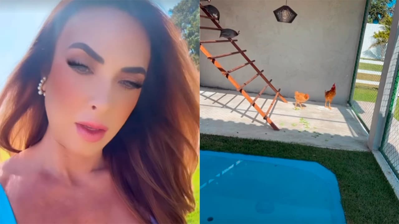 Nicole Bahls constrói galinheiro luxuoso com piscina