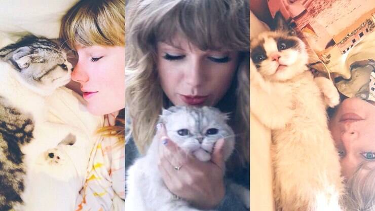 De kat van Taylor Swift is het op twee na rijkste huisdier ter wereld, met een fortuin van 474 miljoen R$