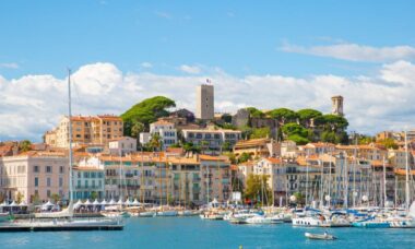 Conheça o Cats Palace Hotel em Cannes, o hotel de luxo só para gatos