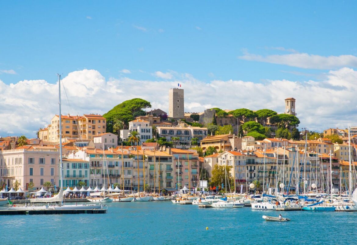 Conheça o Cats Palace Hotel em Cannes, o hotel de luxo só para gatos