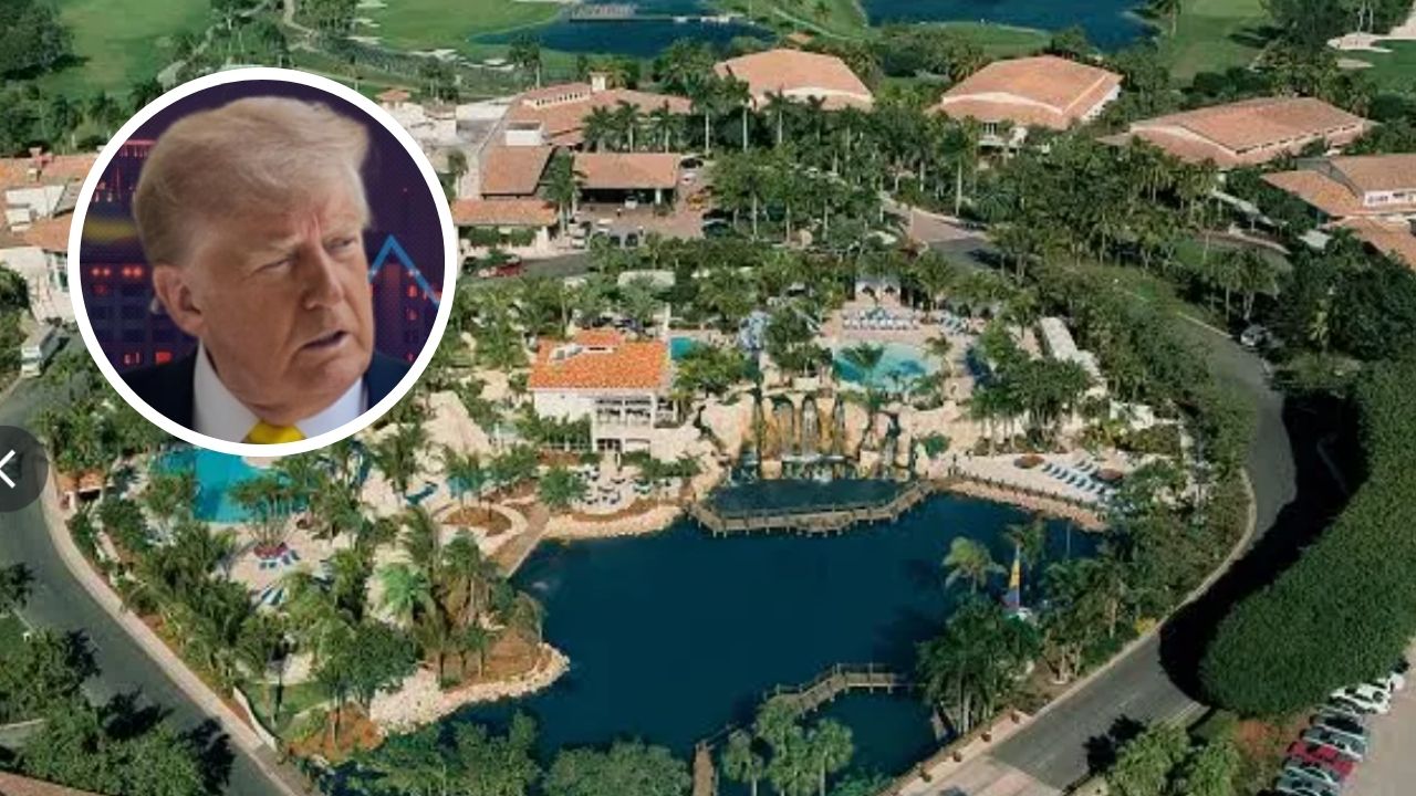 How many hotels does Donald Trump own and where are they located?